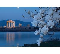 Peinture par Numéros pour Adulte - Paysage d'orchidées de jade DIY Peinture Acrylique pour Adultes Débutants, 80x120cm Numéro d'Art Kit Peinture par Décoration Murale Pour La Maison (sans Cadre) w1021