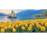 Peinture par Numéros pour Adulte, Tulip voilier Peinture par Numero Débutants, Numéro d'art avec Pinceaux, Loisirs Créatifs Adultes Activité Manuelle, Décor de Maison Cadeaux 30x60cm (sans cadre) y919
