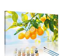Peinture par Numéros pour Adulte Usine DIY Peinture Numero Adulte Débutants 40x80cm Citron Paint by Number Art Pigmentée Kit par Décoration Créatif Murale et Cadeaux Pour La Maison, Avec Cadre XY#686