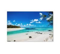 Peinture par numéros pour adultes et enfants débutants，Beau Panorama d'une île Tropicale. Plage paradisiaque à l'île Maurice，Peinture par numéros sur toile avec pinceaux et pigments acryliques -C10