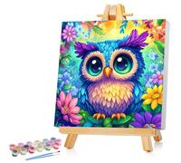 Peinture par numéros pour enfant avec cadre en forme de chouette - Peinture à l'huile - Pour enfants à partir de 5, 6, 7, 8, 9 ans - Pour la décoration de la maison - 20 x 20 cm - Avec cadre en bois