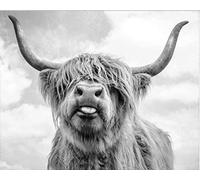 Peinture Par Numéros Pour Les Enfants Adultes Débutants -Highland Cattle Animal Portrait De Vache 40X50 Cm Toile De Lin Acrylique Stress Moins Nombre Peinture Jouet Cadeaux Décoration De La Maison