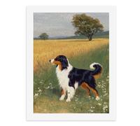 Peinture par numéros Un beau Border Collie tricolore debout dans un champ de blé doré Kit de peinture numérique pour adultes Créez votre propre scène magique Fournitures d'art sans cadre 40 x 50 cm