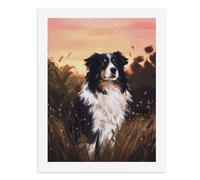 Peinture par numéros Un beau border collie tricolore debout dans une grande herbe sous un ciel de coucher de soleil Kit de peinture numérique pour adultes Créez votre propre scène magique Fournitures