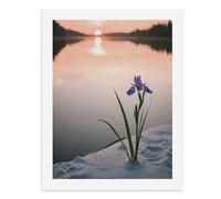 Peinture par numéros Une fleur d'iris violette pousse sur une côte de sable alors que le soleil se couche sur un lac calme Kit de peinture numérique pour adultes Créez votre propre scène magique