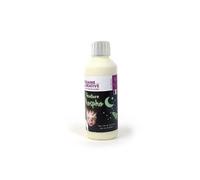 Graine Créative Peinture phosphorescente - 250 ML