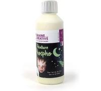 Peinture phosphorescente - 250 ml Multicolore G