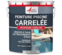 ARCANE INDUSTRIES Peinture Piscine carrelage - 5 kg (jusqu'à 15m² pour 2 Couches) Gris Clair - RAL 7035