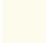Peinture Piscine pour coque polyester - plus performante qu'une peinture epoxy - ARCANE INDUSTRIES - Blanc Perlé (ral 1013) - 5 kg (jusqu'à 15m² pour les 2 couches)