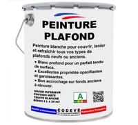 Peinture Plafond - 20 L - Codeve Bois - RAL 9010 - Blanc pur