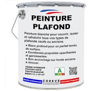 Peinture Plafond - Codeve Bois/RAL 9010 - Blanc pur - 5L - Intérieur - Intérieure Blanche Mat Pour La Décoration D'un Plafond Neuf, Ancien Ou Peint.