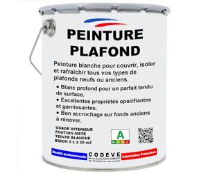 Peinture Plafond - Codeve Bois/RAL 9010 - Blanc pur - 5L - Intérieur - Intérieure Blanche Mat Pour La Décoration D'un Plafond Neuf, Ancien Ou Peint.