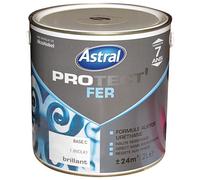 Peinture Protect'fer brillante - 2 L - base clear