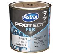 Peinture Protect'fer brillante - 2 L - base medium