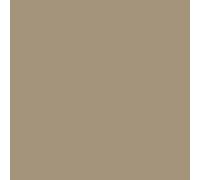 Peinture Radiateur - Fonte acier alu chauffage toutes couleurs PEINTURE RADIATEUR RAL 1019 Beige gris Kit 1 Kg jusqu'a 5m² pour 2 couches