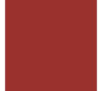 Peinture Radiateur - Fonte acier alu chauffage toutes couleurs PEINTURE RADIATEUR RAL 3013 Rouge Tomate Kit 1 Kg jusqu'a 5m² pour 2 couches