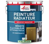 Peinture Radiateur - Fonte acier alu chauffage toutes couleurs PEINTURE RADIATEUR Ral 6019 Vert Blanc Kit 1 Kg jusqu'a 5m² pour 2 couches
