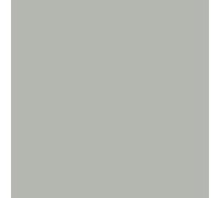 Peinture Radiateur - Fonte acier alu chauffage toutes couleurs PEINTURE RADIATEUR RAL 7038 Gris agathe Kit 1 Kg jusqu'a 5m² pour 2 couches