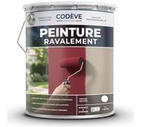 Peinture Ravalement - Codeve Bois/RAL 6021 - Vert pâle - 20L - Intérieur/extérieur - Pour La Protection De Votre Façade, Mur, Béton, Crépi Ou Enduit.