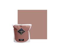 Peinture Rose Poudré Foncé Acrylique En Voiture Simone - Aspect Satin - Peinture Mur, Plafond, Boiserie & Balcon - Lessivable - Séchage En 30 min - COV A+ - Fabriquée En France - 5 L - BARBOUILLE