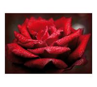 Peinture ROSE ROUGE G5196 PINTDECOR