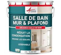 Peinture Salle de Bain Anti-Condensation Mur Plafond - ARCADÉCO 2.5 L Blanc