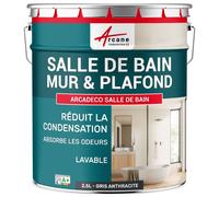 ARCANE INDUSTRIES Peinture salle de bain, mur et plafond | Peinture anti condensation et humidité | 29 couleurs disponibles - 2.5 L Gris Anthracite - RAL 7016