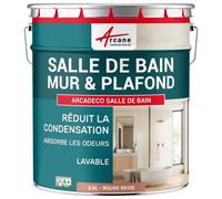 Peinture salle de bain mur plafond condensation Rouge beige RAL 3012 2.5 L