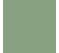 Peinture salle de bain mur plafond condensation Vert pâle RAL 6021 10 L