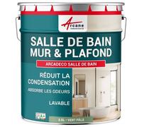 Peinture salle de bain mur plafond condensation Vert Pâle - RAL 6021 2.5 L