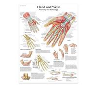 Peinture Sur Toile, Affiches Et Impressions, Structure Du Corps, Squelette, Art Mural, Système Nerveux, Anatomie, Affiche Éducative, Médecine 60X80Cm Sans Cadre