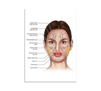Peinture Sur Toile, Affiches Et Impressions Sur Le Visage, Structure Du Corps, Squelette, Art Mural, Système Nerveux, Anatomie, Affiche Éducative Médicale 60X80Cm Sans Cadre