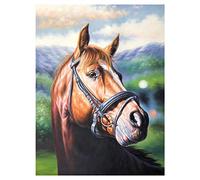 Peinture sur Toile Impression 3D Peinture Décorative Tête Moderne De Cheval Art Peinture sur Toile Art Mural Décoration Murale Photos Peinture pour Salle en Direct Décor À La Maison