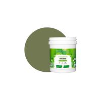 PEINTURE Teinte Vert Kaki murale naturelle écologique aspect mat intérieur Natura - 1L - 13m