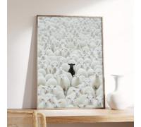 Peinture unique représentant un mouton noir parmi des moutons blancs, affiche artistique sur toile, impression murale, décoration esthétique pour bureau, chambre à coucher, 60 x 90 cm, sans cadre