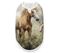 Peintures Chevaux Chemise pour chien Séchage rapide Respirant T-shirt doux extensible sans manches Vêtements pour chien 2XL