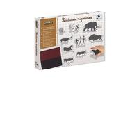 PEINTURES RUPESTRES KIT OUTILS