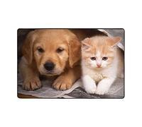 PEIXEN Tapis en flanelle douce et moelleuse pour chien et chat - Tapis antidérapant pour salon, chambre à coucher, bureau et décoration d'intérieur - 91,4 x 61 cm
