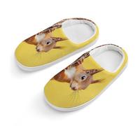 peiyeety Adorable écureuil roux qui regarde depuis un arbre. Pantoufles en coton antidérapantes pour l'intérieur et l'extérieur.