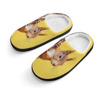 peiyeety Adorable écureuil roux qui regarde depuis un arbre. Pantoufles en coton antidérapantes pour l'intérieur et l'extérieur.