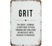 peiyeety Affiche motivante en aluminium « Persévérance » (grand format) | Décoration pour la maison, le bureau ou une chambre d'étudiant | Cadeau professionnel 20 x 30 cm