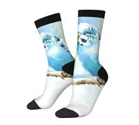 peiyeety Chaussettes fantaisie unisexes d'été, motif aquarelle d'oiseaux de compagnie (perruches ondulées vertes et bleues), coupe extensible et confortable