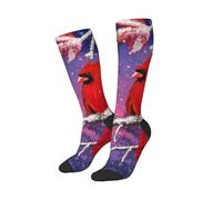 peiyeety Chaussettes humoristiques avec un cardinal rouge perché sur des branches enneigées, douces et respirantes pour hommes et femmes, 1 paire noire