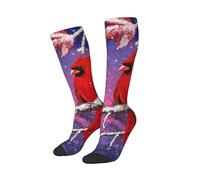 peiyeety Chaussettes humoristiques avec un cardinal rouge perché sur des branches enneigées, douces et respirantes pour hommes et femmes, 1 paire noire