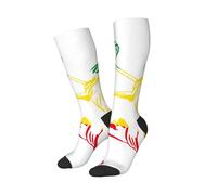 peiyeety Chaussettes humoristiques Rasta Lion Judah Éthiopie, douces et respirantes, pour hommes et femmes, 1 paire noire