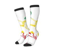 peiyeety Chaussettes humoristiques Rasta Lion Judah Éthiopie, douces et respirantes, pour hommes et femmes, 1 paire noire