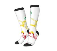 peiyeety Chaussettes humoristiques Rasta Lion Judah Éthiopie, douces et respirantes, pour hommes et femmes, 1 paire noire