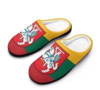 peiyeety Pantoufles d'intérieur chaudes en polaire pour femmes, ornées du drapeau et de l'emblème lituaniens, idéales pour l'hiver et l'extérieur.39-40