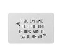 peiyeety Si Dieu peut faire briller le derrière d'un insecte, imaginez ce qu'il peut faire pour vous. Plaque en métal 20 x 30 cm, message chrétien inspirant pour la maison, l'église ou le bureau.