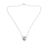 PEKKA Collier urne funéraire en forme de rose de cœur double kit de remplissage d'entonnoir et pendentif souvenir des cendres commémoratives